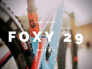 Check all the boxes - Foxy 29