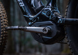 Electric Wings e-bike cranks