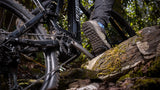Electric Wings e-bike cranks