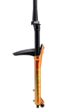 Cane Creek Helm II 29 Boost Coil 130mm-160mm Sunburst