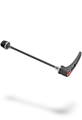 DT Swiss RWS Skewer Steel 100x5mm