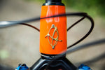 Ibis Ripley LS 1x WX Edition With Fox Transfer Dropper