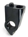 X12 Derailleur Hanger and bolt