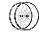 Boyd Altamont Lite