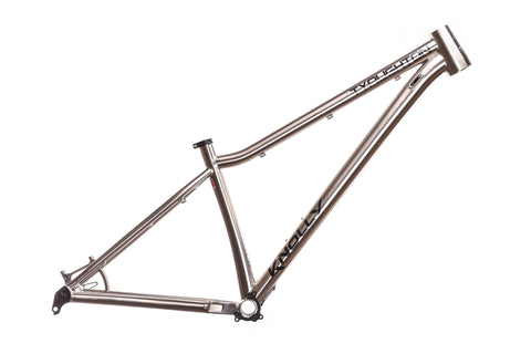 Tyaughton Titanium Frame and Fork combo