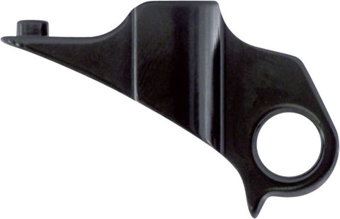 X12 Derailleur Hanger and bolt